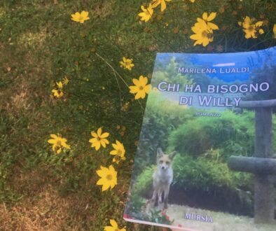 Chi ha bisogno di Willy